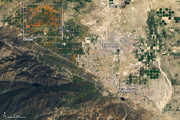 Near the western tip of the Mojave Desert and a few miles west of NASA’s Armstrong Flight Research Center, fields of poppies colored the landscape a bright orange this spring. On April 14, 2020, the Operational Land Imager (OLI) on the Landsat 8 satellite acquired these images of vast blooms in the Antelope Valley California Poppy Reserve. These images were acquired when poppy flowers in the valley were thought to be at or near their peak.