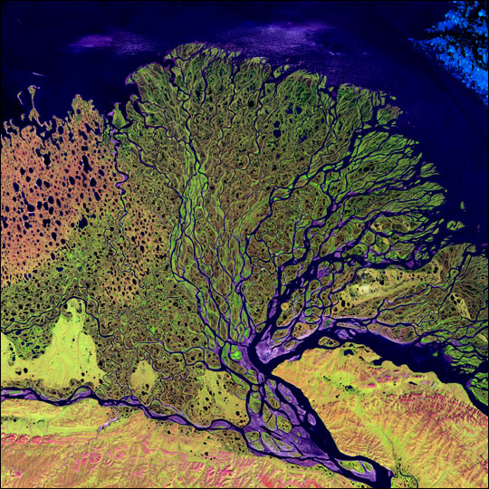 The Lena River, some 2,800 miles (4,400 km) long, is one of the largest rivers in the world. The Lena Delta Reserve is the most extensive protected wilderness area in Russia. It is an important refuge and breeding ground for many species of Siberian wildlife.