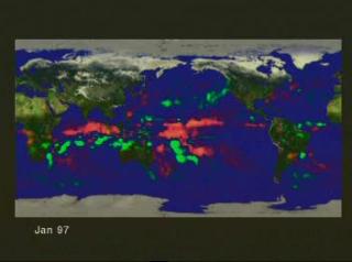 Global monthly average precipitation anomalies as measured by TRMM for January 1997 through February 1998