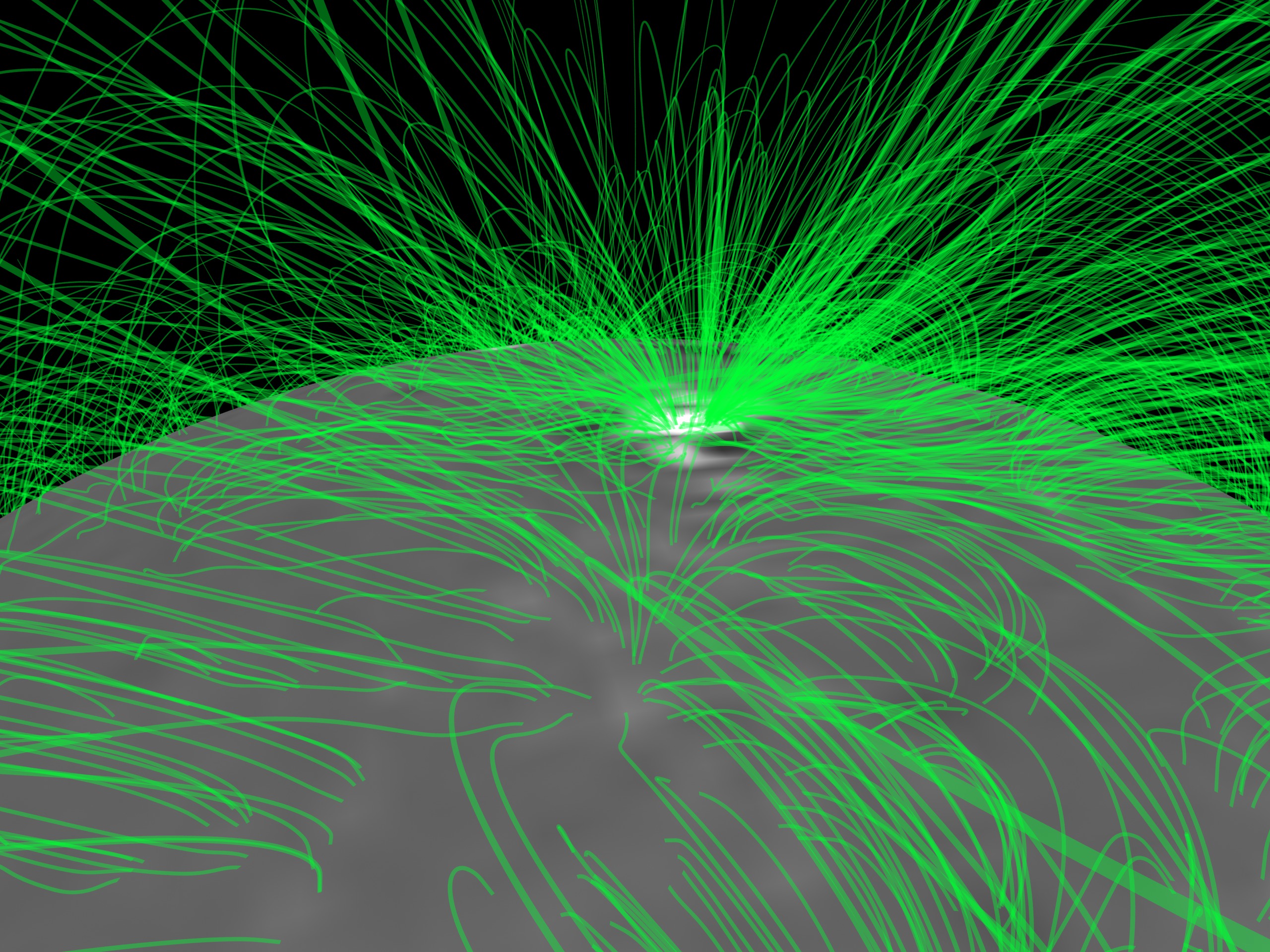 We begin our flight through the loops, noting that the more prominent regions on the surface have a higher density of field lines.