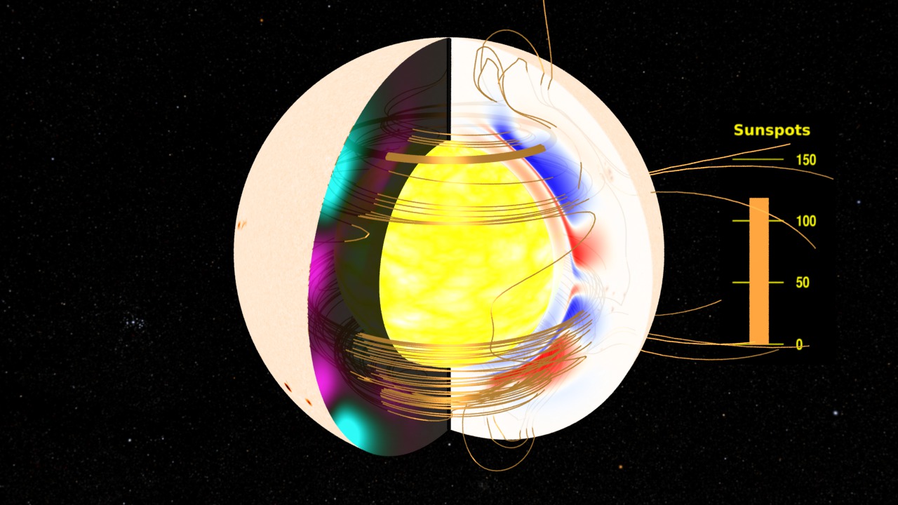 This movie starts with a view of the Sun with sunspots changing as part of the solar cycle. The surface opens to reveal the interior magnetic field structure.