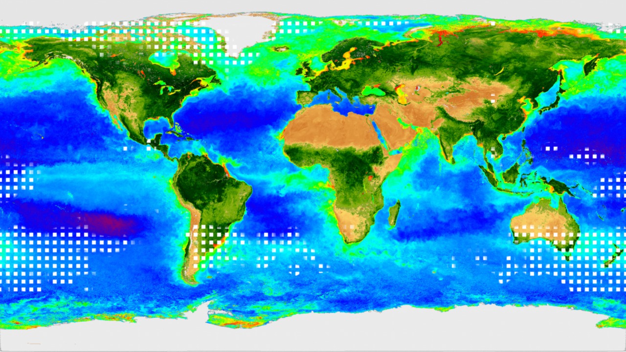 CO2/biosphere correlation, no dates