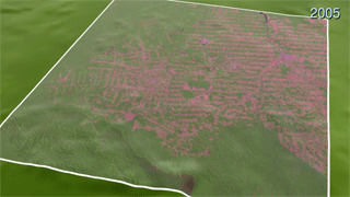 Rondonia deforestation with dates