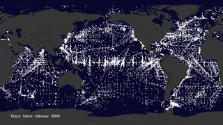 The previous visualization of the NOAA drifter buoys does not show how the buoys might move towards the garbage patches becasue they are continuously released.   We shifted the timing of each buoy data set so that the start time of each buoy data set was the same.  This means that the buoys you see at any particular time have been in the water the same amount of time.   This also allows you to see the interesting patterns of buoy release.  While there are likely seasonal variations in how buoys move, the general pattern shows that the buoys tend to move around until they move into slow moving larger circulation patterns which are the garbage patches.