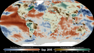 Every two to seven years, an unusually warm pool of water, sometimes two to three degrees Celsius higher than normal, develops across the eastern tropical Pacific Ocean to create a natural short-term climate change event. This warm condition, known as El Niño, affects the local aquatic environment, but also spurs extreme weather patterns around the world, from flooding in California to droughts in Australia.  

Sea Surface Temperature Anomalies (SSTA) show ocean regions with warmer or colder temperatures than the long-term average for a given month. Globally, SSTA are an important driver of atmospheric circulation and rainfall patterns. Climate modes such as the El Niño Southern Oscillation (ENSO) in the tropical Pacific Ocean, including El Niño (warm SSTA) and La Niña (cold SSTA) phases, give us rise to predictable changes in rainfall patterns. The strong El Niño event that developed in 2015 appears as warm SSTA in the eastern Pacific Ocean. 

For more information on the GEOS5 mission please visit  http://www.nasa.gov/mission_pages/Grace/ 