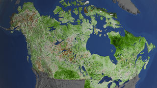 This animation examines the change in the vegetation trend over Canada and Alaska between 1984 and 2012.