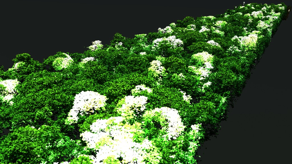 This data visualization starts with an airplane collecting lidar over a flat plane. As the data is collected a strip of the 2013 Brazilian rainforest canopy can be seen. Once the plane flies past, we spin the camera around to get a better view of the treetop canopy data. We then highlight areas of the canopy that will undergo significant change from 2013 to 2016. Finally, we allow those highlighted areas (ie, trees and tree branches) to fall the the ground, revealing the new 2016 forest canopy.