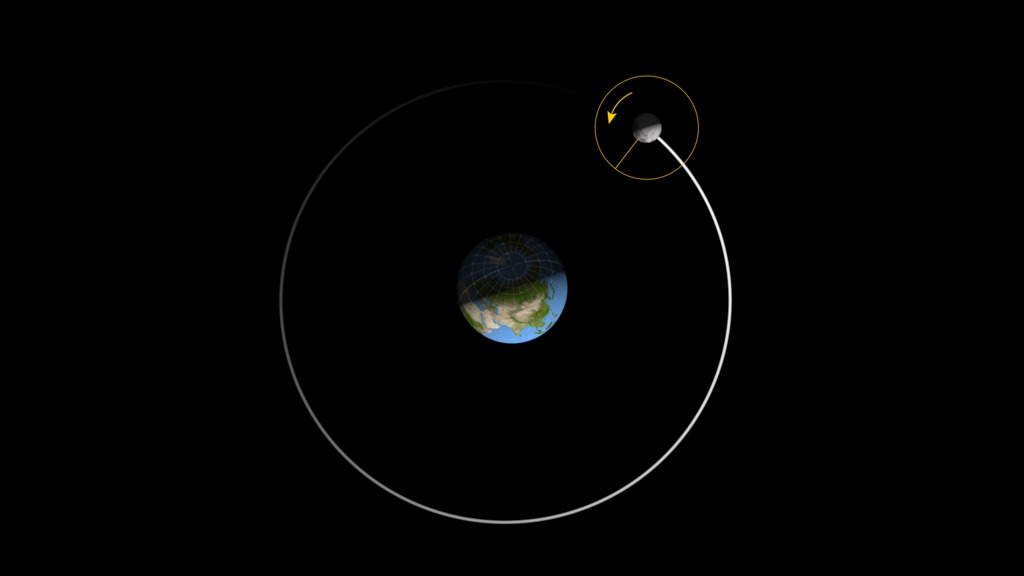 The Moon rotates as it orbits the Earth. The radial yellow line marks the 0° longitude meridian on the Moon.