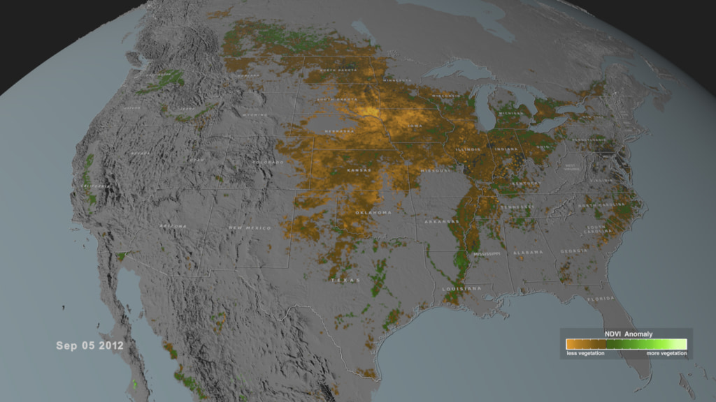 This visualization shows the NDVI anomaly in areas where maize, rice, soybeans, spring wheat or winter wheat are grown over the United States, Australia, Russia, Europe and southern Africa during certain years. Green colors indicate more than average vegetatation while orange colors indicate less productive areas.Coming soon to our YouTube channel.