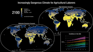 A warming climate will create challenges for agricultural workers. This visualization shows the increased number of days per year that are expected to have a NOAA Heat Index greater than 103 degrees Fahrenheit based on two different climate scenarios (SSP2-4.5 and SSP5-8.5). The visualization also plots the number of days exceeding this threshold for five select locations in the United States. The map projection in Robinson and the color map is cividis.