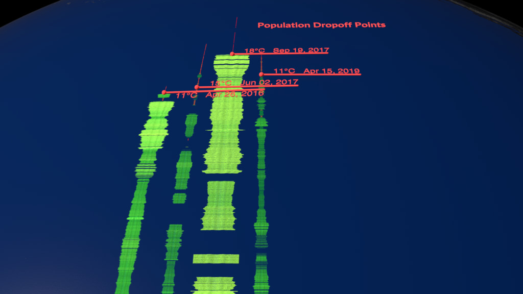 Overview of data collected from research ship paths through the north Pacific Ocean measuring the phytoplankton species Prochlorococcus with an instrument called Seaflow. Additionally, results from the Darwin global ocean ecosystem computer model show interactions between Prochlorococcus, a copiotrophic heterotrophic bacteria and a shared grazer that limits the poleward extent of Prochlorococcus.