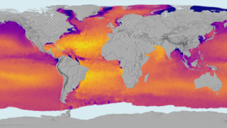 This data visualization shows sea surface salinity (i.e., ocean salt concentration) over a ten year period (2011 to 2021). Warm colors (orange to yellow) are areas of high salinity/hot tropics. Cooler colors (blue to violet) are fresher waters, many of which can be seen coming from rainy/river/wetter tropics.