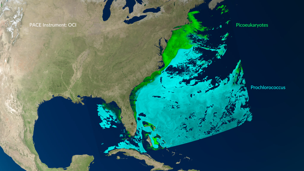 This is part 2 of the full visualization described above, beginning just after the camera zooms into the southeastern coast of the US.  