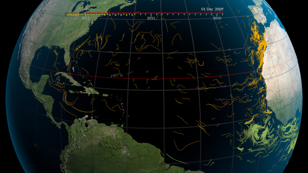 Simulated particle backtrack with windage and timelineThis  visualization shows simulated particles released during 2010 and 2011 traced back in time to show their path based on the ocean surface velocities from Global HYCOM model with 1% windage applied.  Simulated particles were released between December through April and tracked back in time.  The gold balls under the timeline indicate the months when particles were released.  Flow lines represent the movement of a particle over a 20-day period.  Particles that venture above the 23 degree north latitude line (shown in red) during their lifespan are colored gold while particles that stayed south of it are colored green.