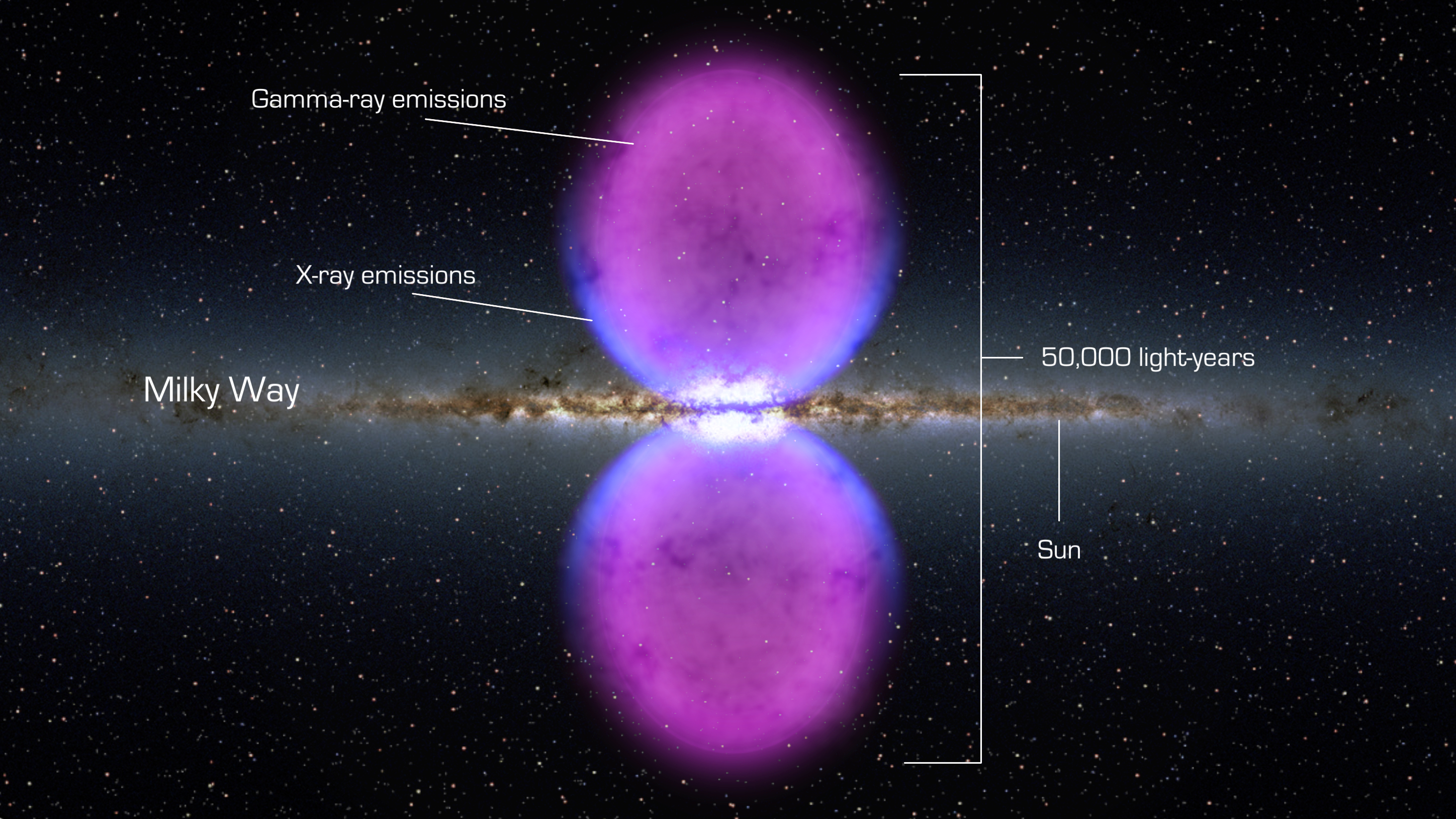 Using data from NASA's Fermi Gamma-ray Space Telescope, scientists have recently discovered a gigantic, mysterious structure in our galaxy. This never-before-seen feature looks like a pair of bubbles extending above and below our galaxy's center. But these enormous gamma-ray emitting lobes aren't immediately visible in the Fermi all-sky map. However, by processing the data, a group of scientists was able to bring these unexpected structures into sharp relief.  Each lobe is 25,000 light-years tall and the whole structure may be only a few million years old. Within the bubbles, extremely energetic electrons are interacting with lower-energy light to create gamma rays, but right now, no one knows the source of these electrons.Are the bubbles remnants of a massive burst of star formation? Leftovers from an eruption by the supermassive black hole at our galaxy's center? Or or did these forces work in tandem to produce them? Scientists aren't sure yet, but the more they learn about this amazing structure, the better we'll understand the Milky Way.For an animation that shows the inverse Compton scattering responsible for the gamma rays, go to #10690.For an animation that shows an artist's interpretation of the Milky Way galaxy and the lobes, go to#10691.