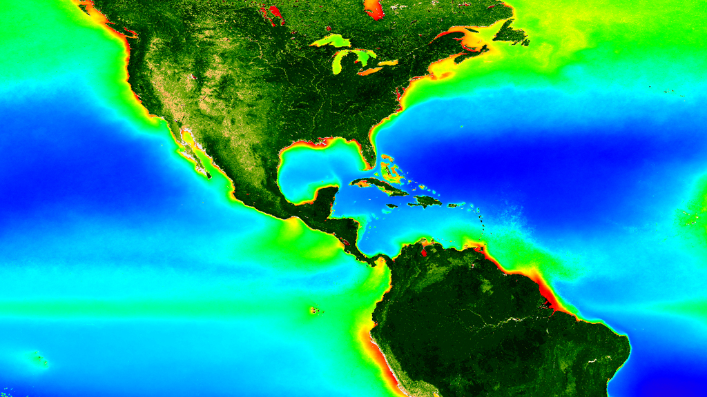 Satellite observations show where plants thrive—or struggle to survive—on land and sea.