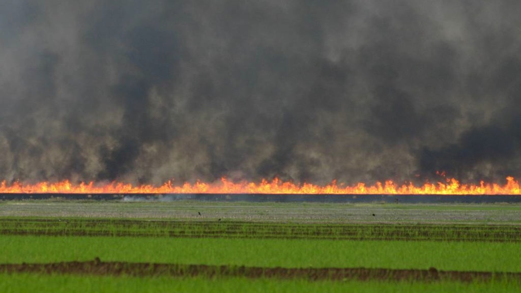 Watch nearly a decade of burning from a satellite's perspective.