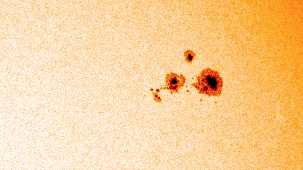 Like clockwork, dark spots the size of Earth speckle our sun.