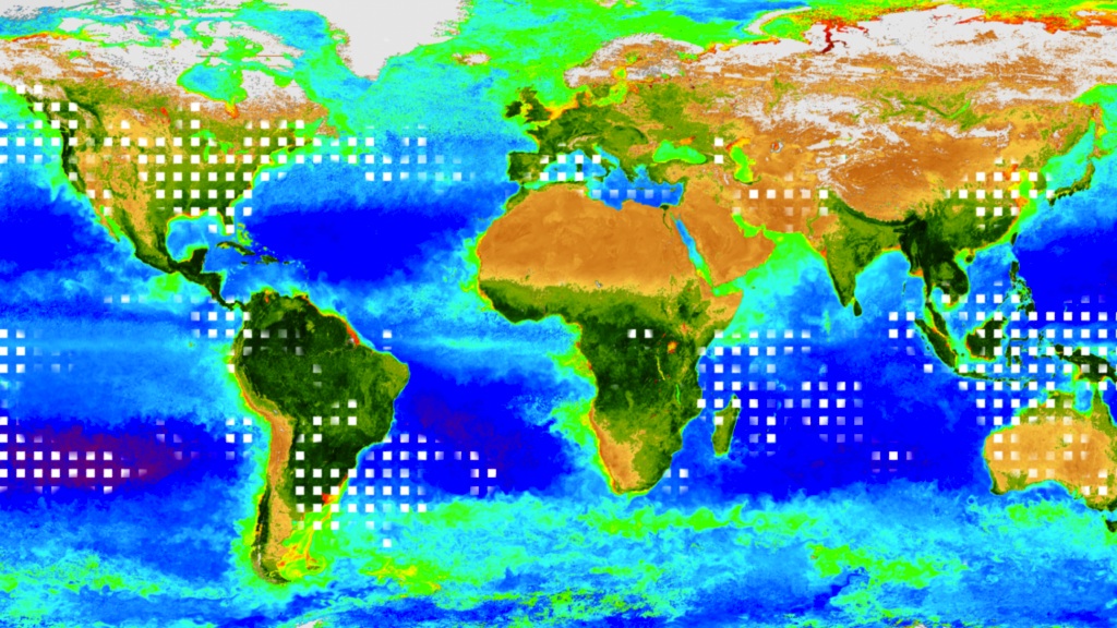 Watch plants consume carbon dioxide and alter the chemistry of the atmosphere.