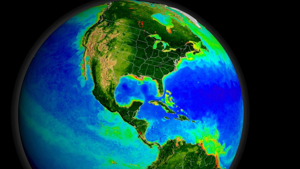 Marine plants multiply and take over the seas.