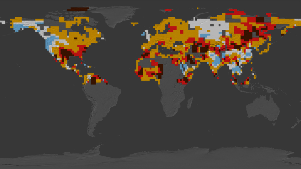 Extreme summer heat waves are more likely now than they were in the middle of the 20th century.