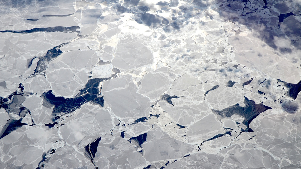 Thin, smooth and gray, this ice might just be a few days old.