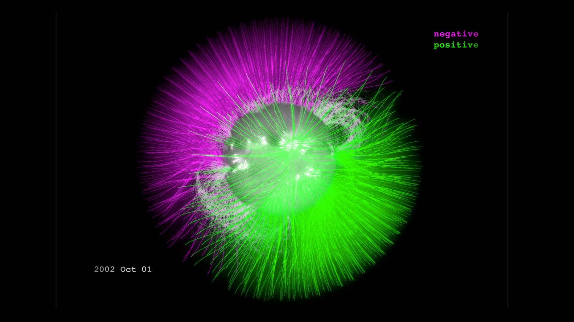 Watch this video on the NASA Goddard YouTube channel.This visualization shows the position of the sun's magnetic fields from January 1997 to December 2013. The field lines swarm with activity: The magenta lines show where the sun's overall field is negative and the green lines show where it is positive. Additional gray lines represent areas of local magnetic variation. 

The entire sun's magnetic polarity, flips approximately every 11 years – though sometimes it takes quite a bit longer – and defines what's known as the solar cycle. The visualization shows how in 1997, the sun shows the positive polarity on the top, and the negative polarity on the bottom. Over the next 16 years, each set of lines is seen to creep toward the opposite pole. By the end of the movie, the flip is almost complete. 

At the height of each magnetic flip, the sun goes through periods of more solar activity, during which there are more sunspots, and more eruptive events such as solar flares and coronal mass ejections, or CMEs. The point in time with the most sunspots is called solar maximum. 
