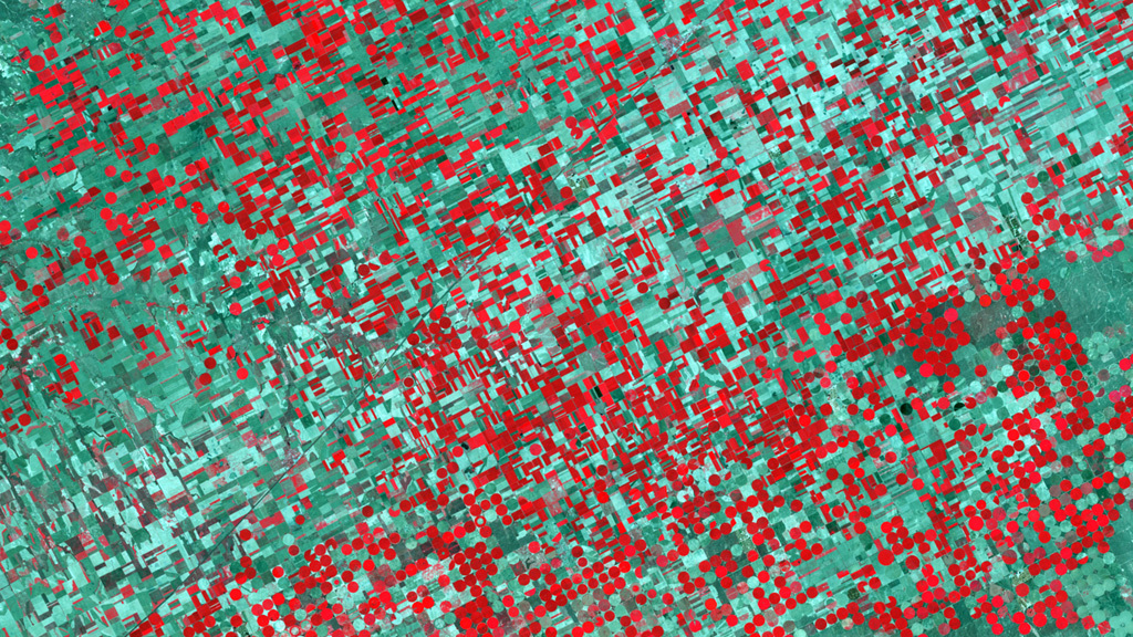 Satellite images taken over the last half-century tell the story of America's evolving agricultural landscape.