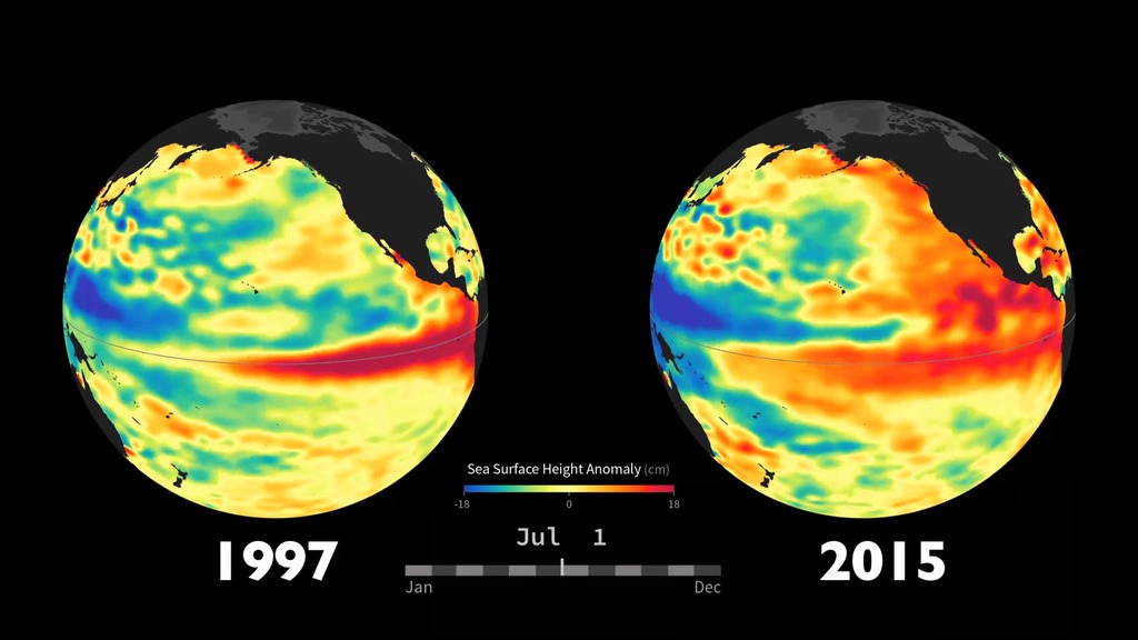 LEAD:  NASA's satellites are tracking the developing El Niño across the Pacific Ocean. 
 
1. Ocean conditions in 2015 bear some similarities to the powerful 1997 El Niño. This NASA visualization shows side-by-side comparisons of Pacific Ocean sea surface height anomalies measured by satellites in 1997 and 2015.
 
2. Red shows where the ocean is above the normal sea level. 

3. Blue shades indicate areas of lower sea levels. 

4. Sea surface height is an indicator of the temperature of the water below. Above normal levels indicate warmer temperatures, below normal colder temperatures. 

5. El Niño events are characterized by a mass of warm water migrating from Southeast Asia toward South America.

TAG: Weather and climate forecasters are tracking El Niño closely because it could help steer beneficial rains to parts of drought-stricken California and the American West.
