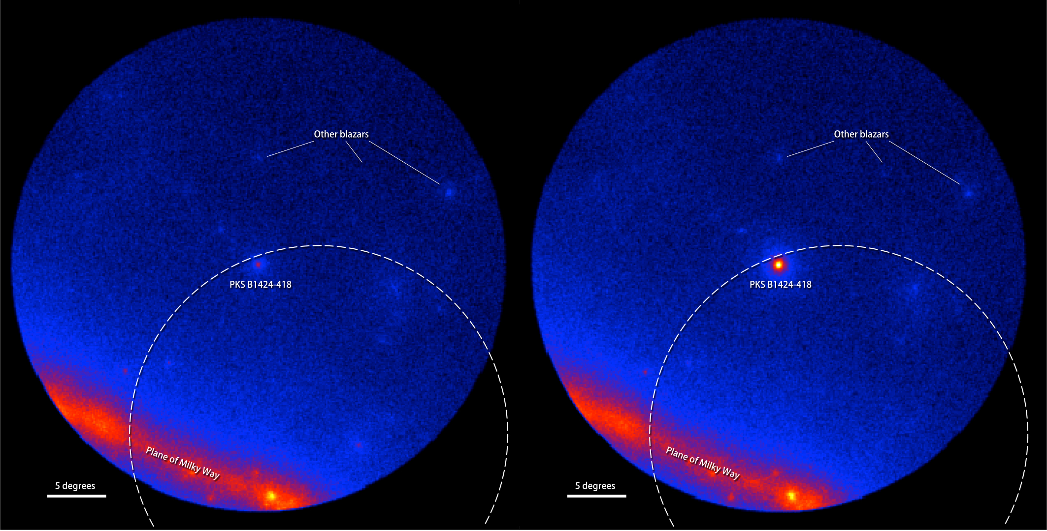 Nearly 10 billion years ago, the black hole at the center of a distant galaxy produced a powerful outburst, and light from this blast began arriving at Earth in 2012. Astronomers using data from NASA's Fermi Gamma-ray Space Telescope and other space- and ground-based observatories have shown that a record-breaking neutrino seen around the same time likely was born in the same event.

Neutrinos are the fastest, lightest, most unsociable and least understood fundamental particles. The study provides the first plausible association between a single extragalactic object and a high-energy cosmic neutrino.

Although neutrinos far outnumber all the atoms in the universe, they rarely interact with matter. While this property makes them hard to detect, it lets neutrinos make a fast exit from places where light cannot easily escape -- such as the core of a collapsing star -- and zip across the universe almost completely unimpeded. Neutrinos can provide information about processes and environments that simply aren't available through a study of light alone.

The IceCube Neutrino Observatory, built into a cubic kilometer of clear glacial ice at the South Pole, detects neutrinos when they interact with atoms in the ice. Some of the most extreme particles detected by IceCube receive nicknames based on characters on the children's TV series "Sesame Street." On Dec. 4, 2012, IceCube detected an event known as Big Bird, a neutrino with an energy exceeding 2 quadrillion electron volts (PeV), the highest-energy neutrino ever detected at the time. But the best IceCube position only narrowed the source to a patch of the southern sky about 32 degrees across, equivalent to the apparent size of 64 full moons. 

In the summer of 2012, Fermi's Large Area Telescope (LAT) witnessed the onset of a dramatic brightening of PKS B1424-418, an active galaxy classified as a gamma-ray blazar. An active galaxy is an otherwise typical galaxy with a compact and unusually bright core; this excess luminosity is produced by matter falling toward a supermassive black hole weighing millions of times the mass of our sun. As it approaches the black hole, some of the material becomes channeled into particle jets moving outward in opposite directions at nearly the speed of light. In blazars, one of these jets happens to point almost directly toward Earth. During the year-long outburst, PKS B1424-418 shone between 15 and 30 times brighter in gamma rays than its average before the eruption. The blazar is located within the Big Bird source region, but so are many other active galaxies detected by Fermi. Was it the culprit?

Astronomers investigating the link turned to the TANAMI project, which since 2007 has routinely monitored dozens of active galaxies in the southern sky. The program includes regular radio observations using the Australian Long Baseline Array (LBA) and associated telescopes in Chile, South Africa, New Zealand and Antarctica. When networked together, they operate as a single radio telescope more than 6,000 miles across and provide a unique high-resolution look into the jets of active galaxies.  

Three radio observations of PKS B1424-418 between 2011 and 2013 cover the period of the Fermi outburst. They reveal that the core of the galaxy's jet had brightened by about four times. No other galaxy observed by TANAMI over the life of the program has exhibited such a dramatic change.

The team suggests the PKS B1424-418 outburst and Big Bird are connected, calculating only a 5-percent probability the two events occurred by chance alone. Using data from Fermi, NASA’s Swift and WISE satellites, the LBA and other facilities, the researchers determined how the energy of the eruption was distributed across the electromagnetic spectrum and showed that it was sufficiently powerful to produce a neutrino at PeV energies.