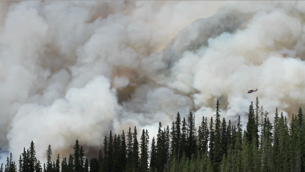 Additional footage courtesy of Greenpeace.Music: "Vulnerable Moment," John Ashton Thomas, Atmosphere Music Ltd.; "Inducing Waves," Ben Niblett and Jon Cotton, Atmosphere Music Ltd.Complete transcript available.