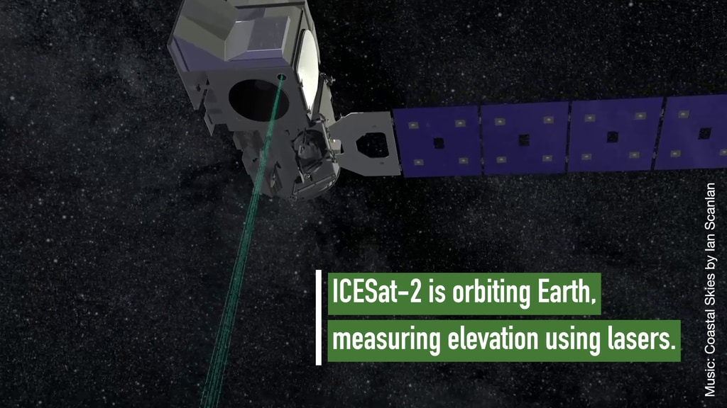 Help scientists at NASA by taking tree height observations using the GLOBE Observer App.