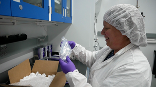 Jamie Elsila and Danielle Simkus prepare previously unopened Apollo 17 Moon samples for analysis. Music is "Fairy Christmas" from Universal Production Music.