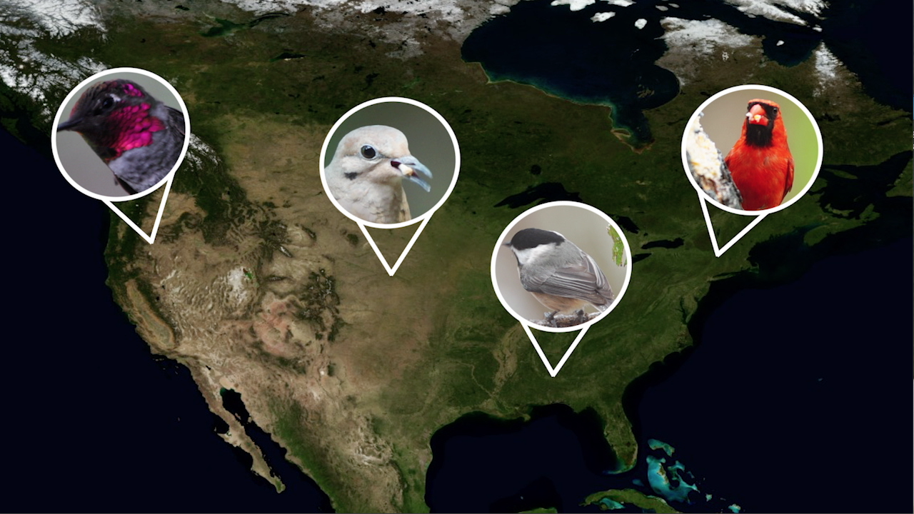 Temperature data from the Landsat 8 satellite is used by scientists at University of Wisconsin-Madison to predict bird biodiversity in winter months. Turns out, having a habitat with pockets of different temperatures – like a grove of trees in an open field, or a nest or snow burrow – is especially important for small-bodied bird species and those threatened by climate change. Music: Life Cycles by Theo Golding [PRS], published by Atmosphere Music Ltd [PRS]Complete transcript available.Watch this video on the NASA Goddard YouTube channel.