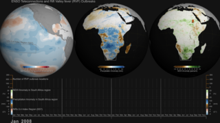 ENSO Teleconnections with Rift Valley Fever Visualization with Visualizer Commentary