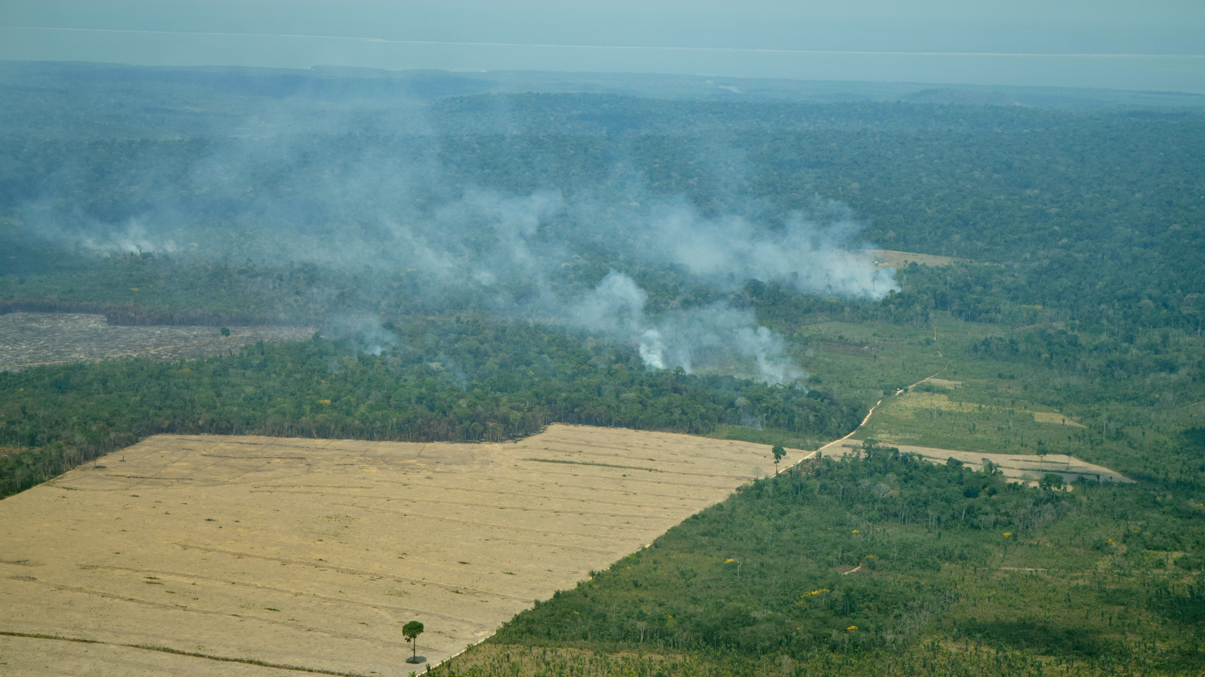 The Amazon is the largest tropical rainforest in the world, nearly as big as the continental United States. But every year, less of that forest is still standing. Today's deforestation across the Amazon frontier is tractors and bulldozers clearing large swaths to make room for industrial-scale cattle ranching and crops. Landsat satellite data is used to map land cover in Brazil with a historical perspective, going back to 1984.Music: Organic Circuit by Richard Birkin [PRS]; Into the Atmosphere by Sam Joseph Delves [PRS]; Ethereal Journey by Noé Bailleux [SACEM]; Wildfires by Magnum Opus [ASCAP]; Letter For Tomorrow by Anthony d’Amario [SACEM].Complete transcript available.Watch this video on the NASA Goddard YouTube channel.