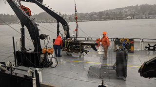 On Oct. 19, the research vessel Oceanus, owned by the National Science Foundation, set sail to an area a hundred nautical miles out to sea off the coast of San Francisco, accompanied by a fleet of several types of autonomous marine research vehicles.