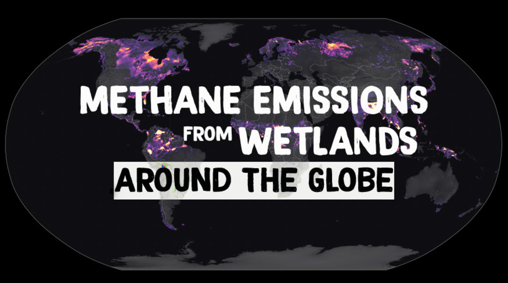 Complete transcript available.Methane is an important greenhouse gas that contributes substantially to global warming. On a molecule by molecule basis, methane is much more efficient at trapping heat than carbon dioxide, the main driver of warming. Though human activities, including agriculture, oil and natural gas production and use, and waste disposal, collectively contribute the majority of methane to the atmosphere, about a third of total methane emissions comes from wetlands. Wetland habitats are filled with things like waterlogged soils and permafrost, which makes them sizable carbon sinks. However, as the climate changes, these carbon-rich soils are vulnerable to flooding and to rising temperatures, which can release more carbon to the atmosphere in the form of methane. Understanding methane emissions from natural sources like wetlands is critically important to scientists and policymakers who are working to ensure that changes in natural systems don’t counteract progress in combatting climate change made by reducing emissions from human activities.

This animation shows estimates of wetland methane emissions produced by the Lund–Potsdam–Jena Dynamic Global Vegetation Model (LPJ-DGVM) Wald Schnee und Landscaft version (LPJ-wsl). LPJ-wsl is a prognostic model, meaning that it can be used to simulate future changes in wetland emissions and independently verified with remote sensing data products. The model includes a complex, topography dependent model of near surface hydrology, and a permafrost and dynamic snow model, allowing it to produce realistic distributions of inundated areas. Highlighted areas show concentrated methane sources from tropical and high latitude ecosystems. The LPJ-wsl model is regularly used in conjunction with NASA’s GEOS model to simulate the impact of wetlands and other methane sources on atmospheric methane concentrations, compare against satellite and airborne data, and to improve understanding and prediction of wetland emissions. 
Music credit: “Emerging Wave” from Universal Production Music