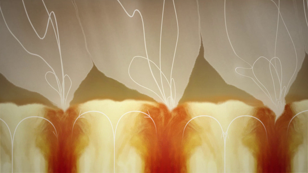 Data from Parker Solar Probe has traced the origin of switchbacks – magnetic zig-zag structures in the solar wind – back to the solar surface. At the surface, magnetic funnels emerge from the photosphere between convection cell structures called supergranules. Switchbacks form inside the funnels and rise into the corona and are pushed out on the solar wind. Credit: NASA GSFC/CIL/Jonathan North