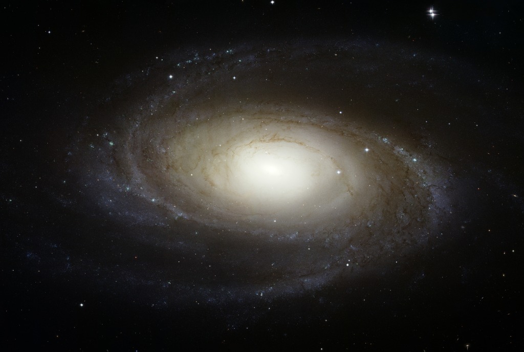 Spiral Galaxy M81