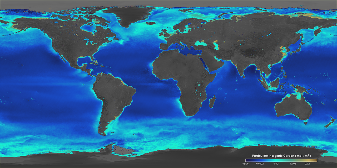 The Great Calcite Belt is a region of high producitvity encircling the Southern Ocean. This image of average PIC between 2002 and 2014 shows the belt as a light teal stripe in the Southern Ocean.