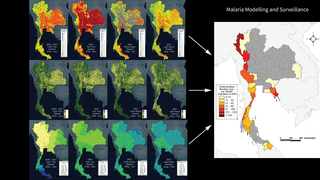 Remote sensing data products which are input into malaria model.