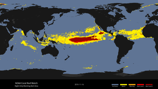 The NOAA Coral Reef Watch (CRW) daily 5-km satellite Bleaching Alert Area product presented here outlines the areas where coral bleaching thermal stress currently reaches various bleaching stress levels, based on our satellite sea surface temperature (SST) monitoring. 