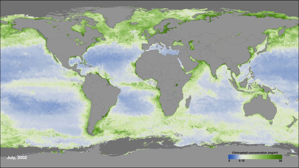 Ocean Color, July 2002 - December 2015