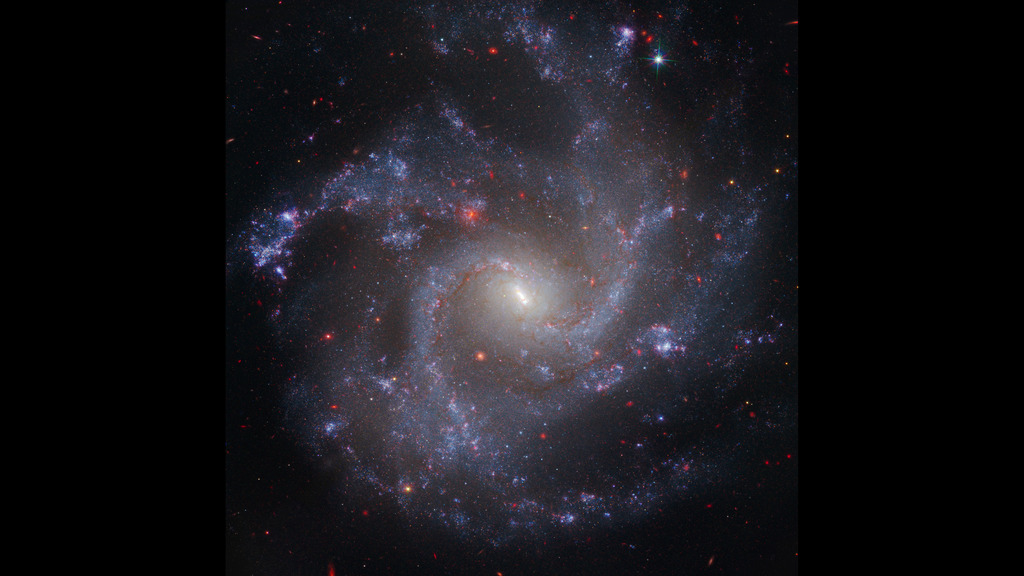 This image of NGC 5468, a galaxy located about 130 million light-years from Earth, combines data from the Hubble and James Webb space telescopes. This is the farthest galaxy in which Hubble has identified Cepheid variable stars. These are important milepost markers for measuring the expansion rate of the universe. The distance calculated from Cepheids has been cross-correlated with a type Ia supernova in the galaxy. Type Ia supernovae are so bright they are used to measure cosmic distances far beyond the range of the Cepheids, extending measurements of the universe's expansion rate deeper into space.CreditsNASA, ESA, CSA, STScI, Adam G. Riess (JHU, STScI)